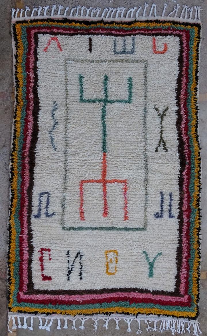 Berber Azilal rugs #AZ55053