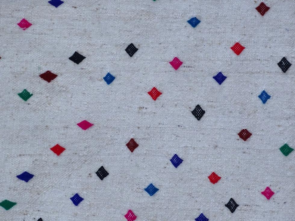 Berber kilim Zanafi Kilim rugs #ZA56055 wool kilim