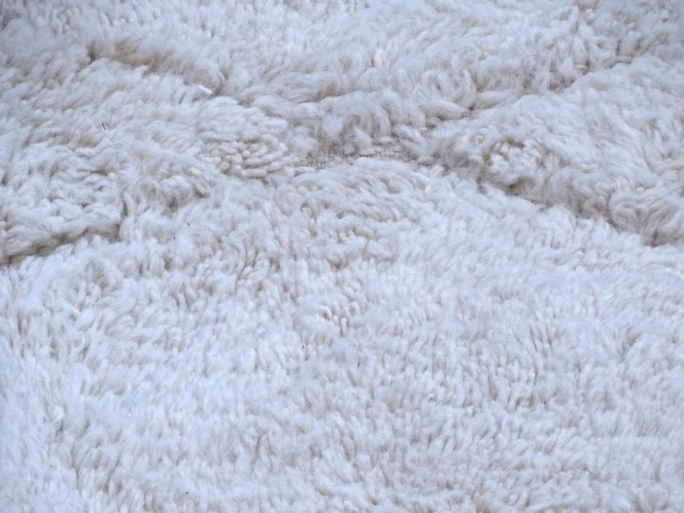 Berber rug  Beni Ourain Large sizes #BO59028